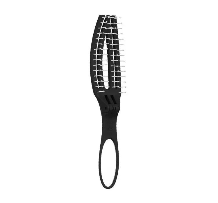 ezebra2407826
