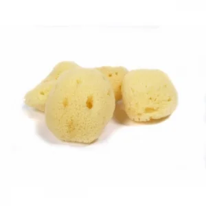 pure-schoenheit2154903