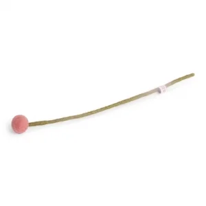 pure-schoenheit2161203