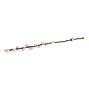 pure-schoenheit2161347