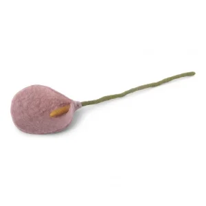 pure-schoenheit2162735