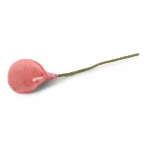 pure-schoenheit2162751