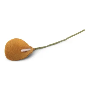 pure-schoenheit2162778