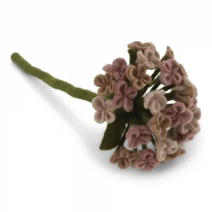 pure-schoenheit2171537