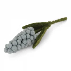 pure-schoenheit2171587