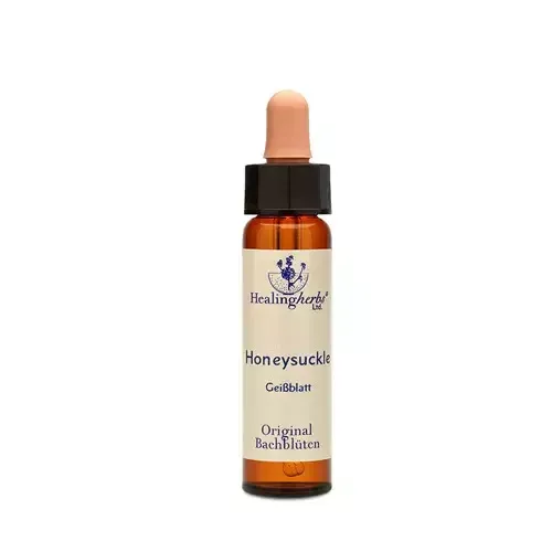 realapotheke1941914