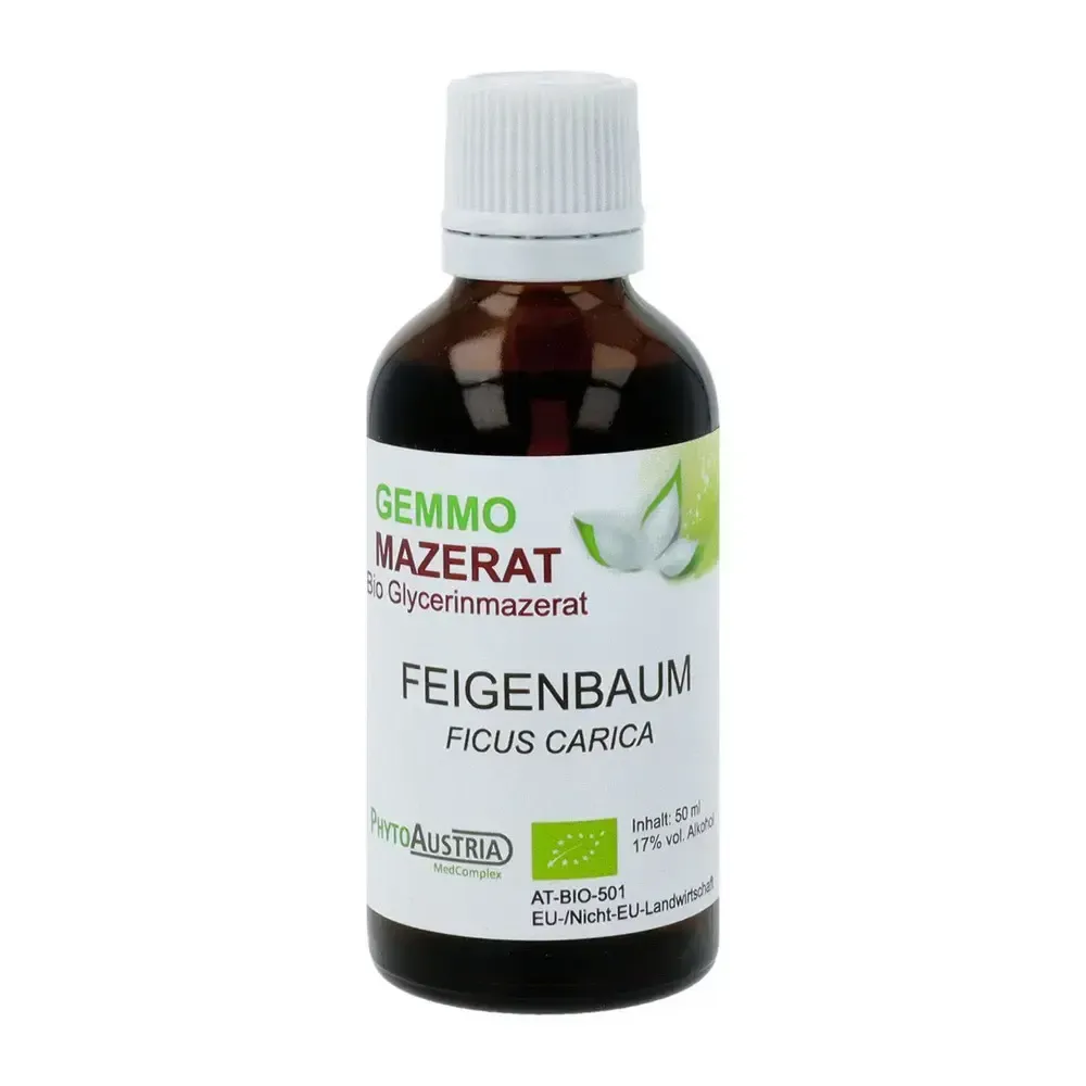 realapotheke2144792