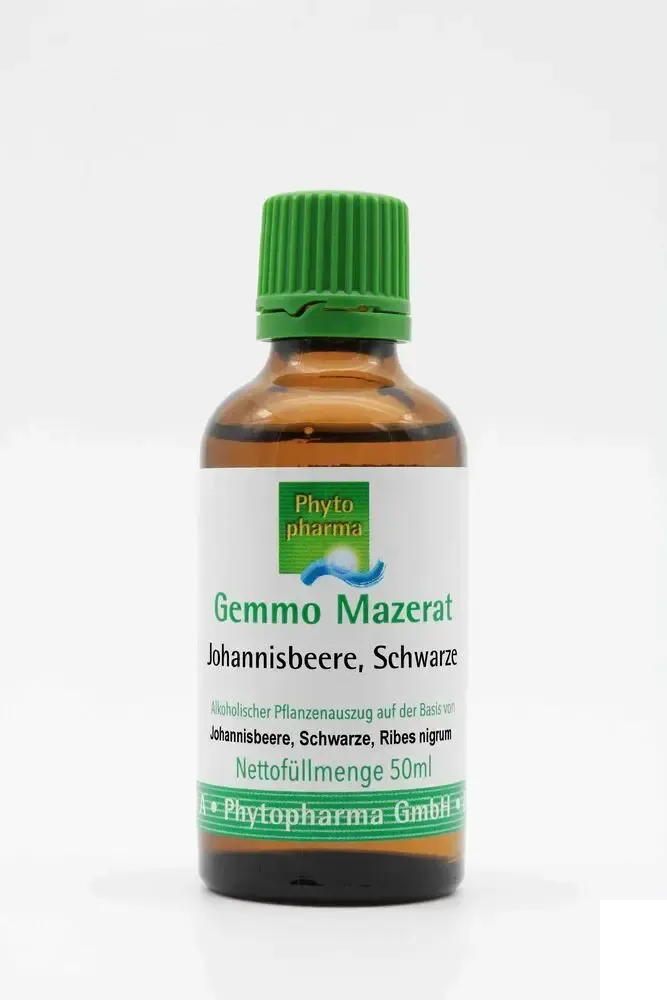 realapotheke2163534