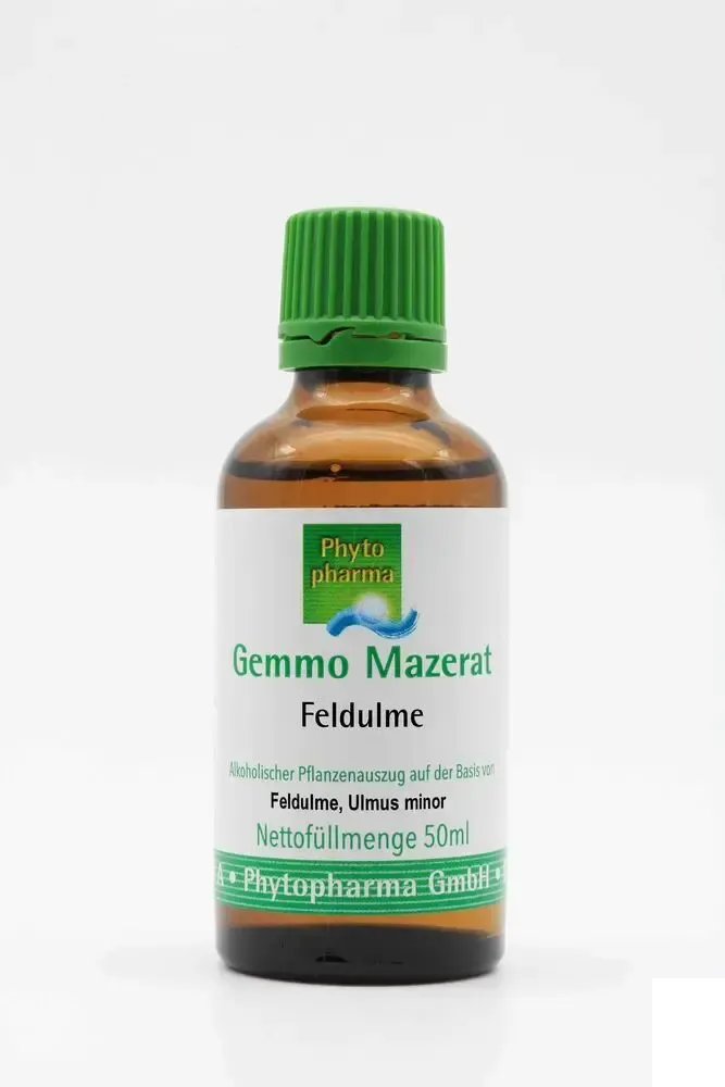 realapotheke2163849
