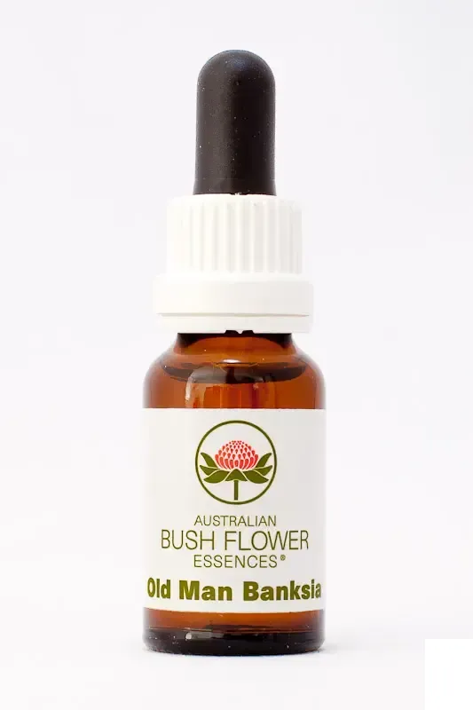 realapotheke2187213