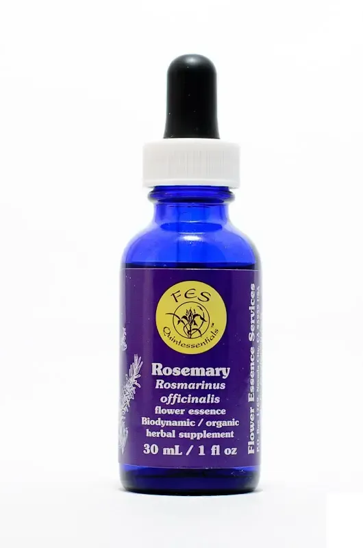 realapotheke2214587