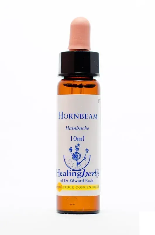 realapotheke2215069